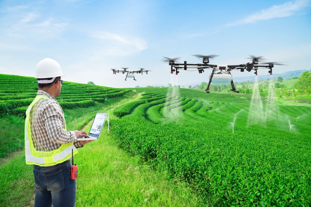 Technician farmer use wifi computer control agriculture drone fly to sprayed fertilizer on the green tea fields. Shutterstock.com / Suwin