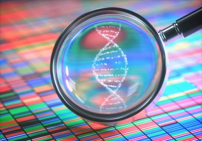 DNA